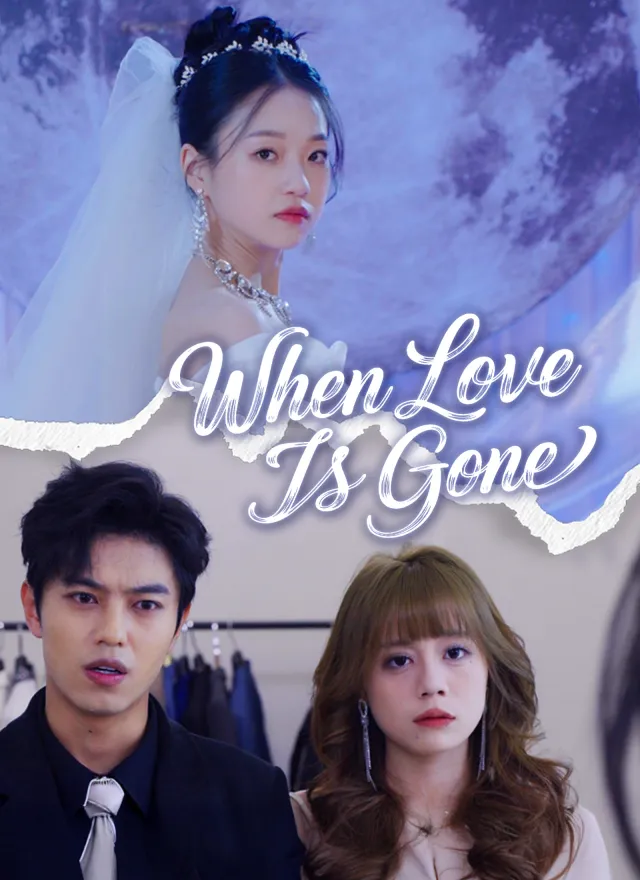 When Love Is Gone poster