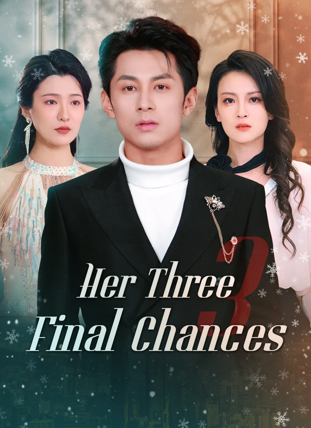 Her Three Final Chances poster