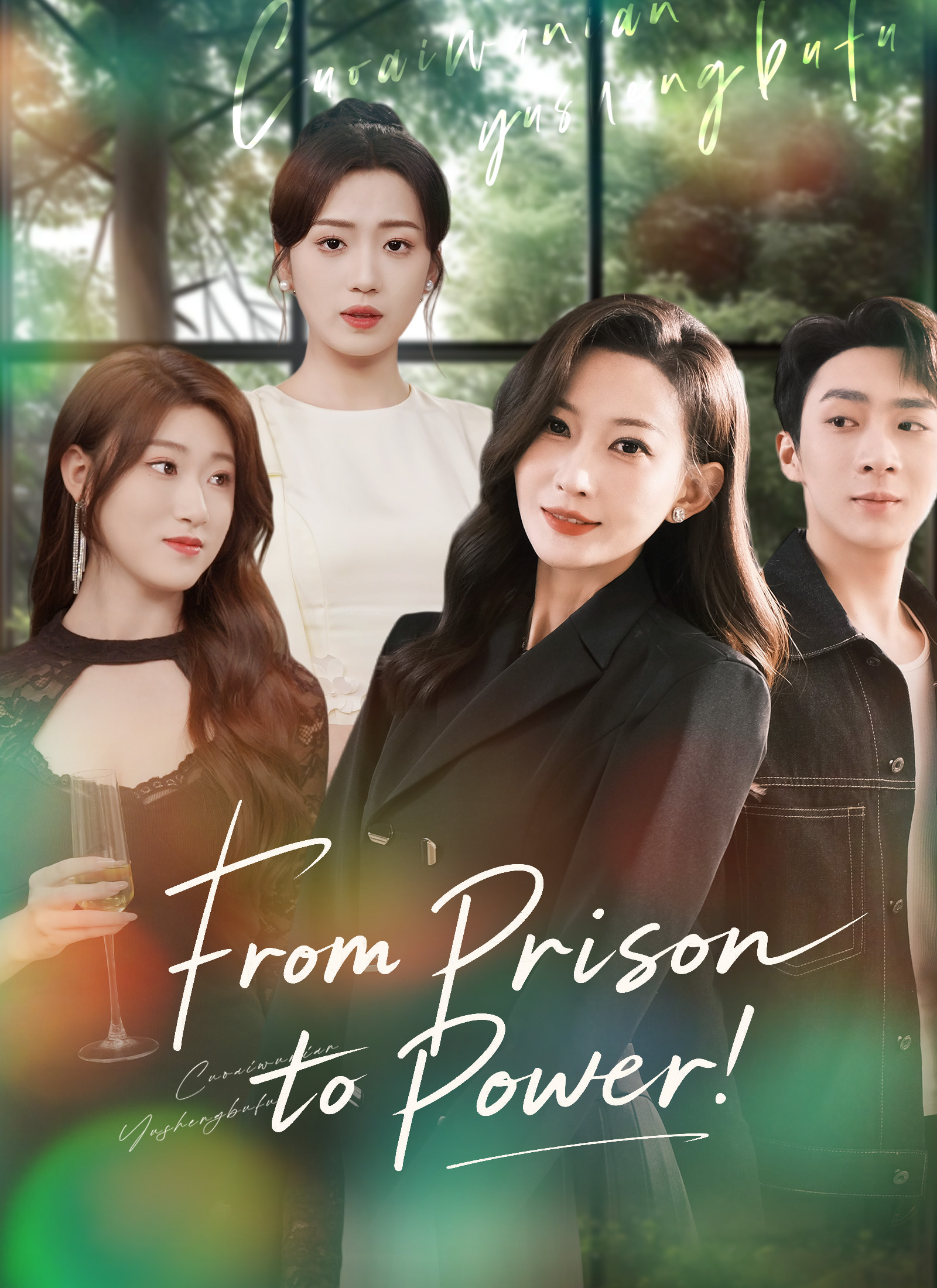 From Prison to Power poster