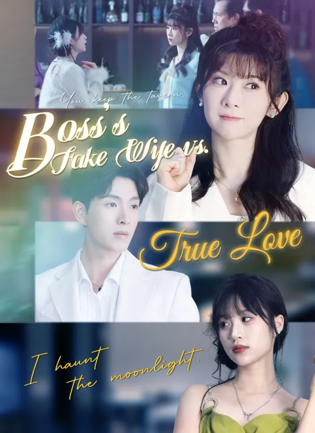 Boss's Fake Wife vs. True Love poster