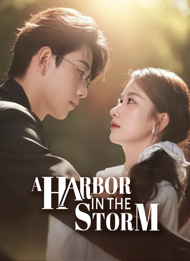 A Harbor in the Storm poster