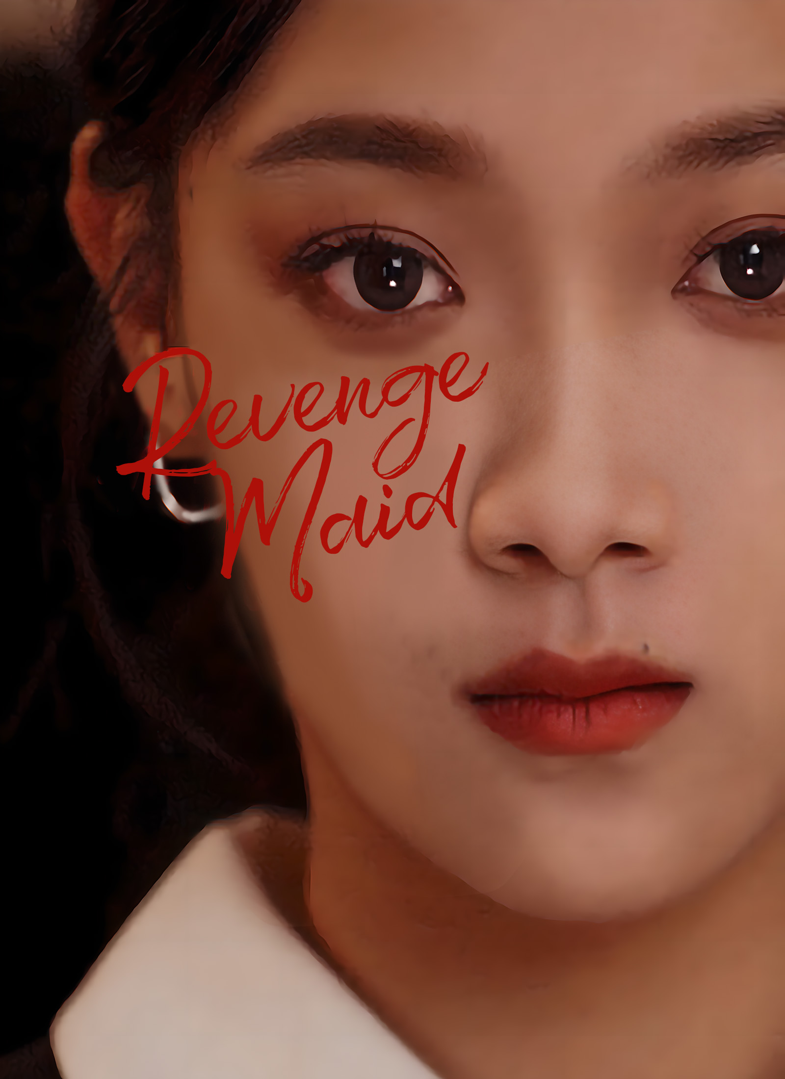 Revenge Maid poster