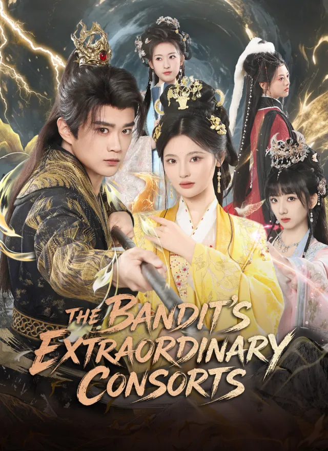 The Bandit's Extraordinary Consorts poster