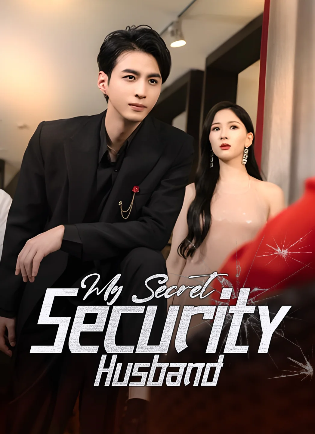 My Secret Security Husband poster