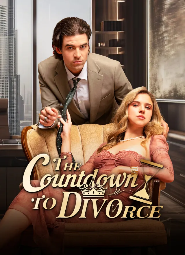The Countdown to Divorce cover