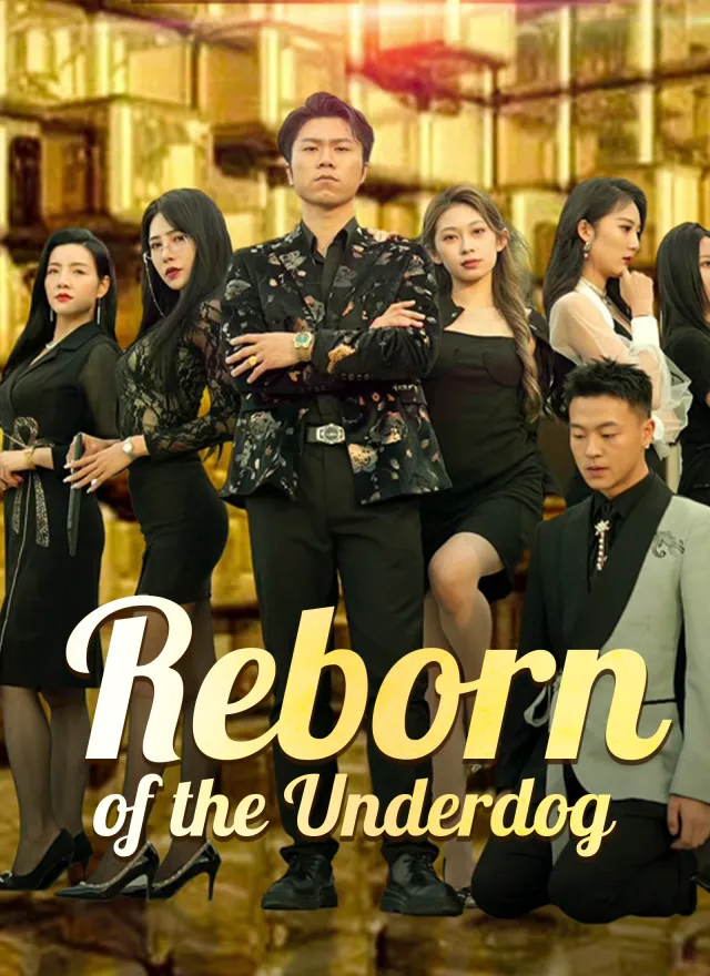 Reborn of the Underdog poster