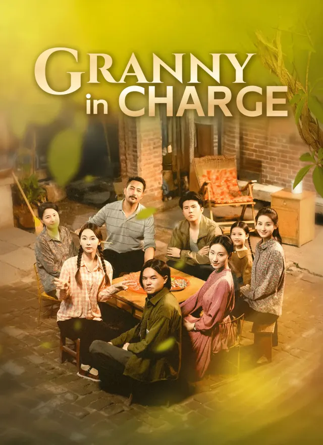 Granny in Charge poster
