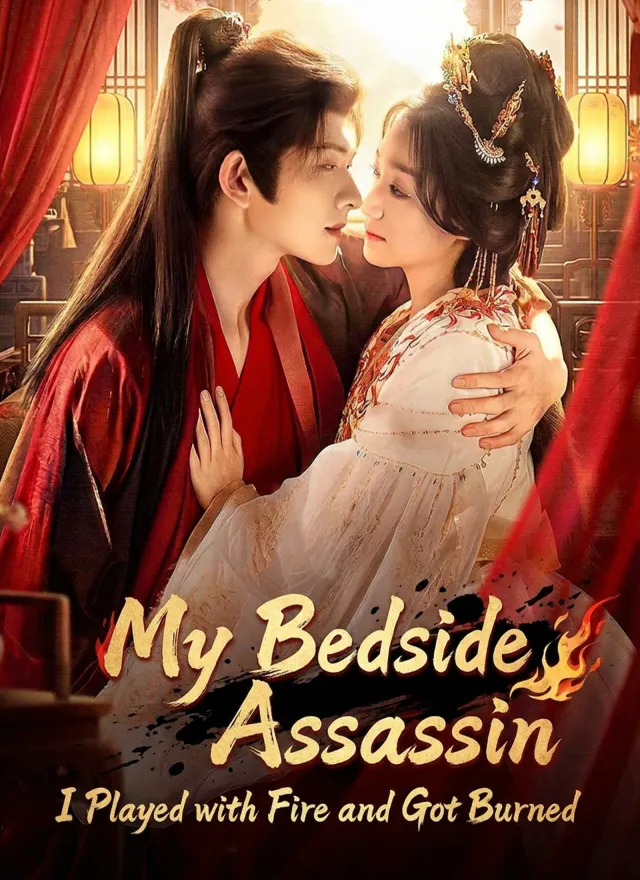 My Bedside Assassin: I Played with Fire and Got Burned poster