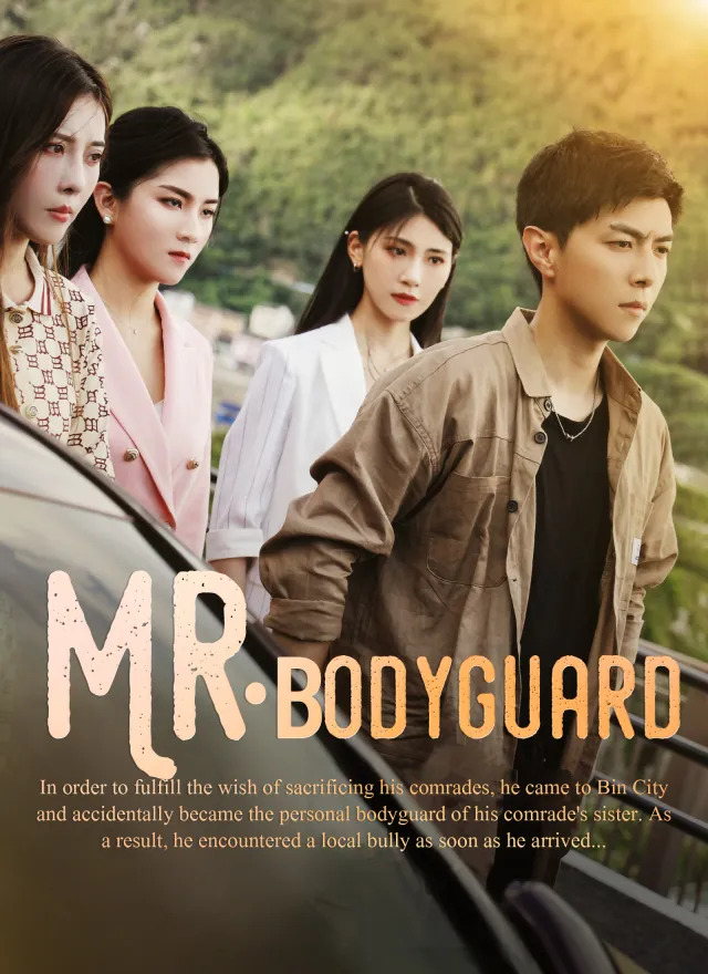 Mr. Bodyguard poster