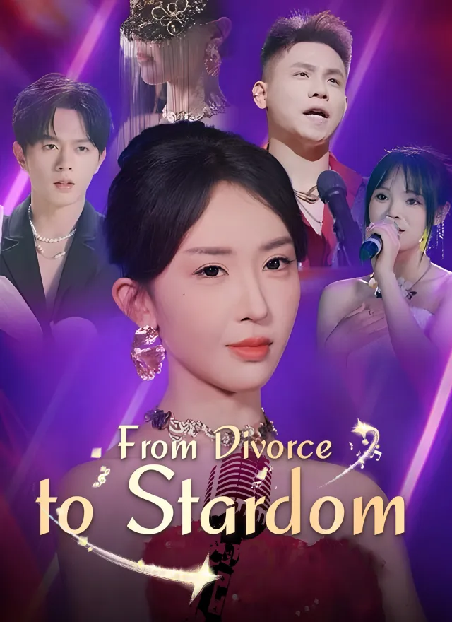 From Divorce to Stardom poster
