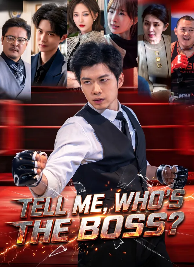 Tell Me, Who's The Boss? poster