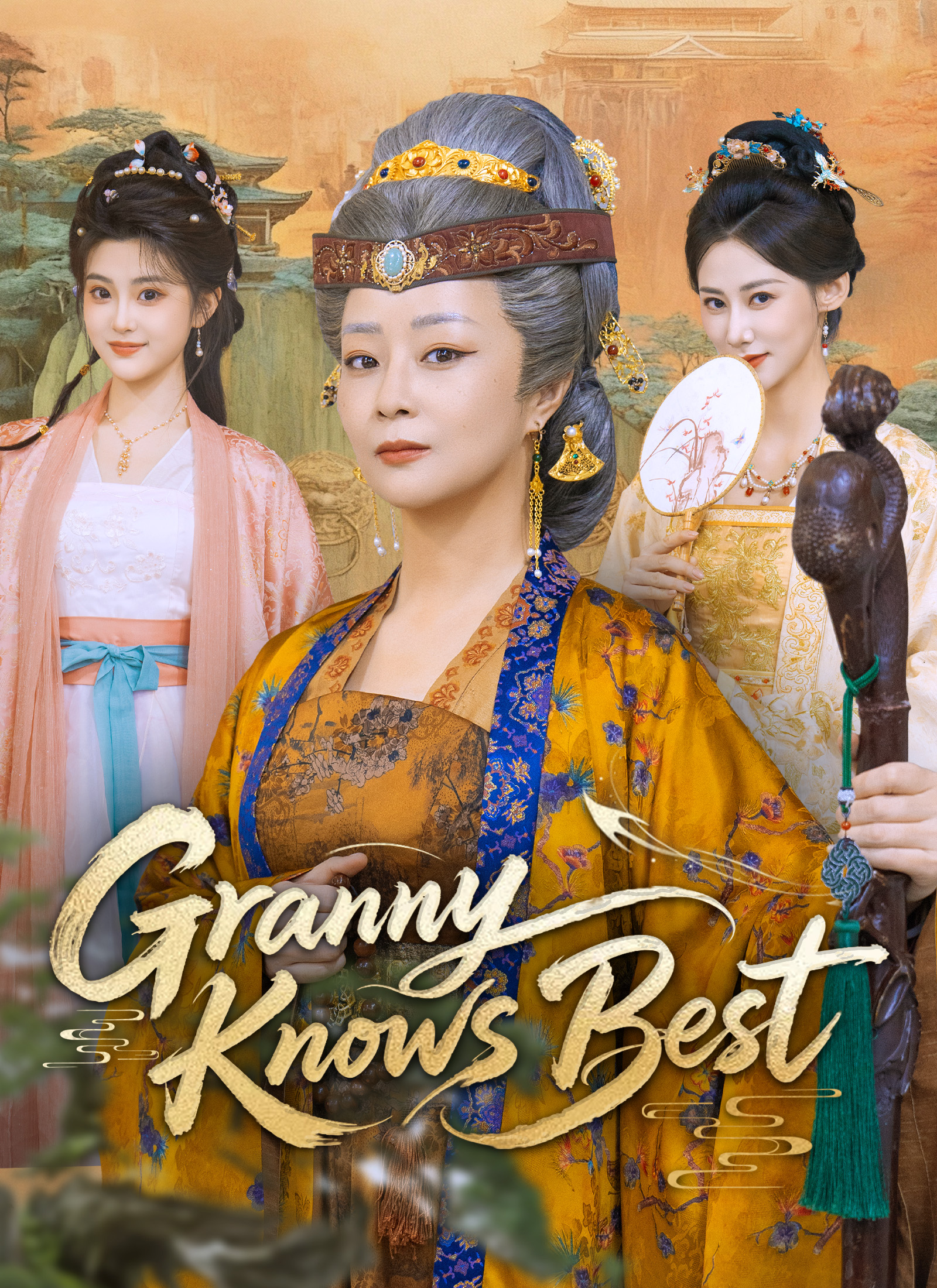 Granny Knows Best poster