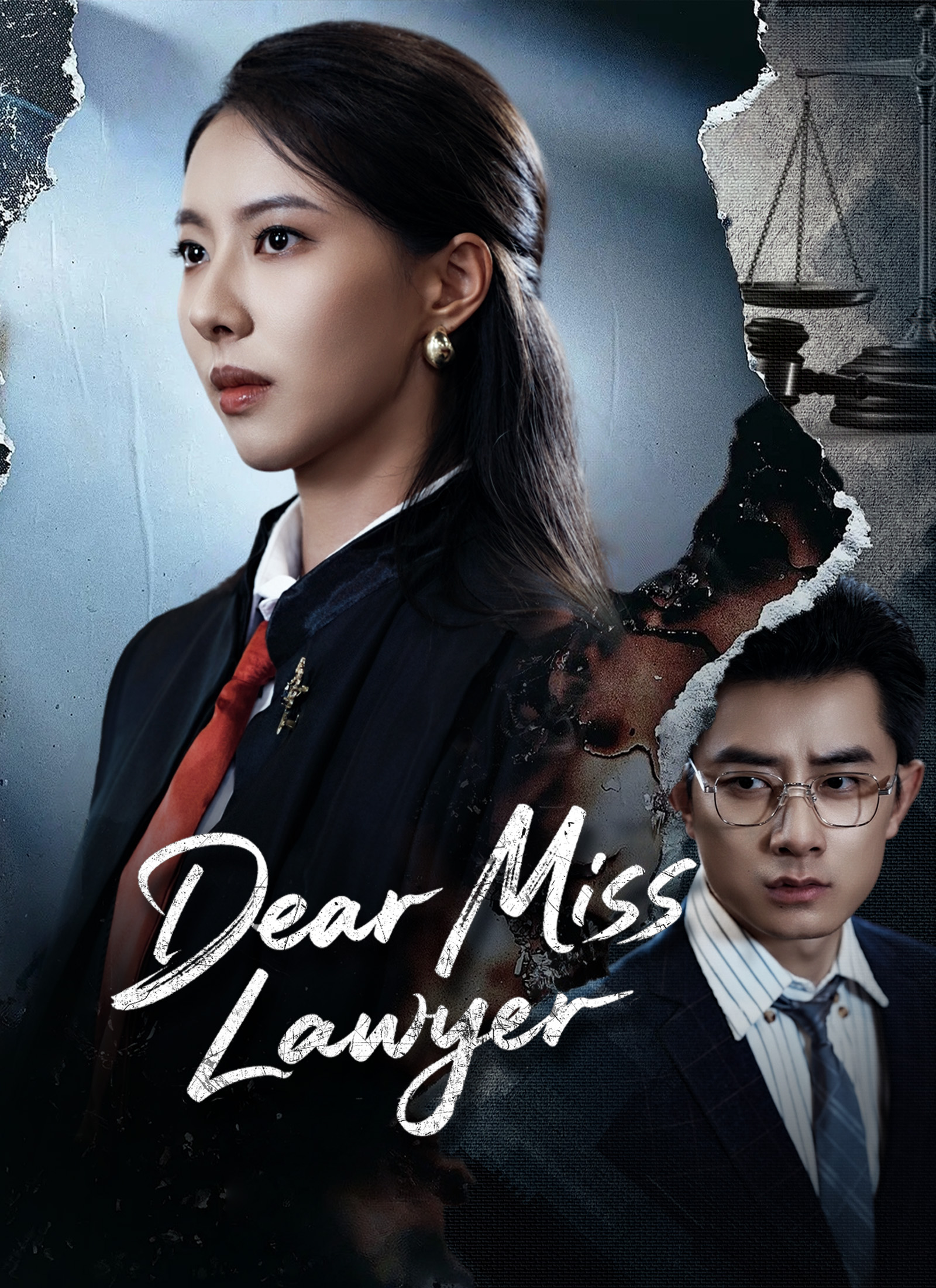 Dear Miss Lawyer poster