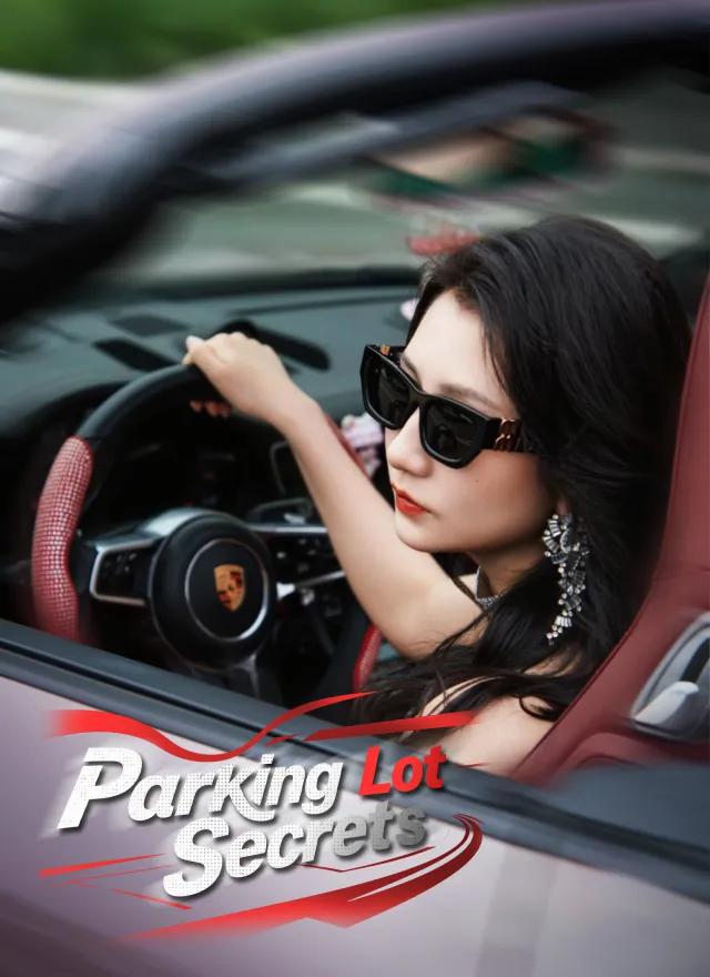 Parking Lot Secrets poster