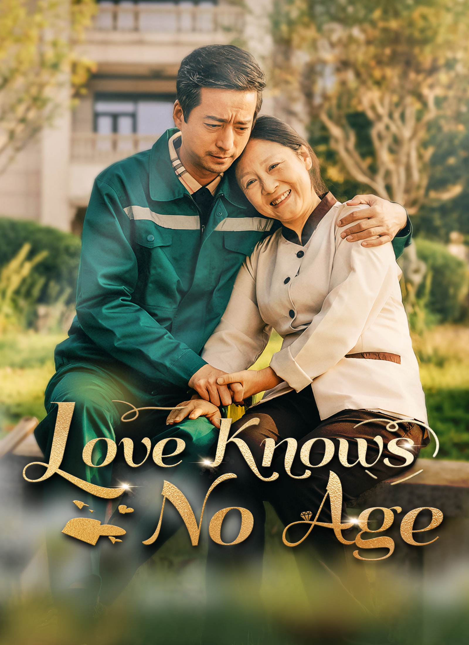 Love Knows No Age poster
