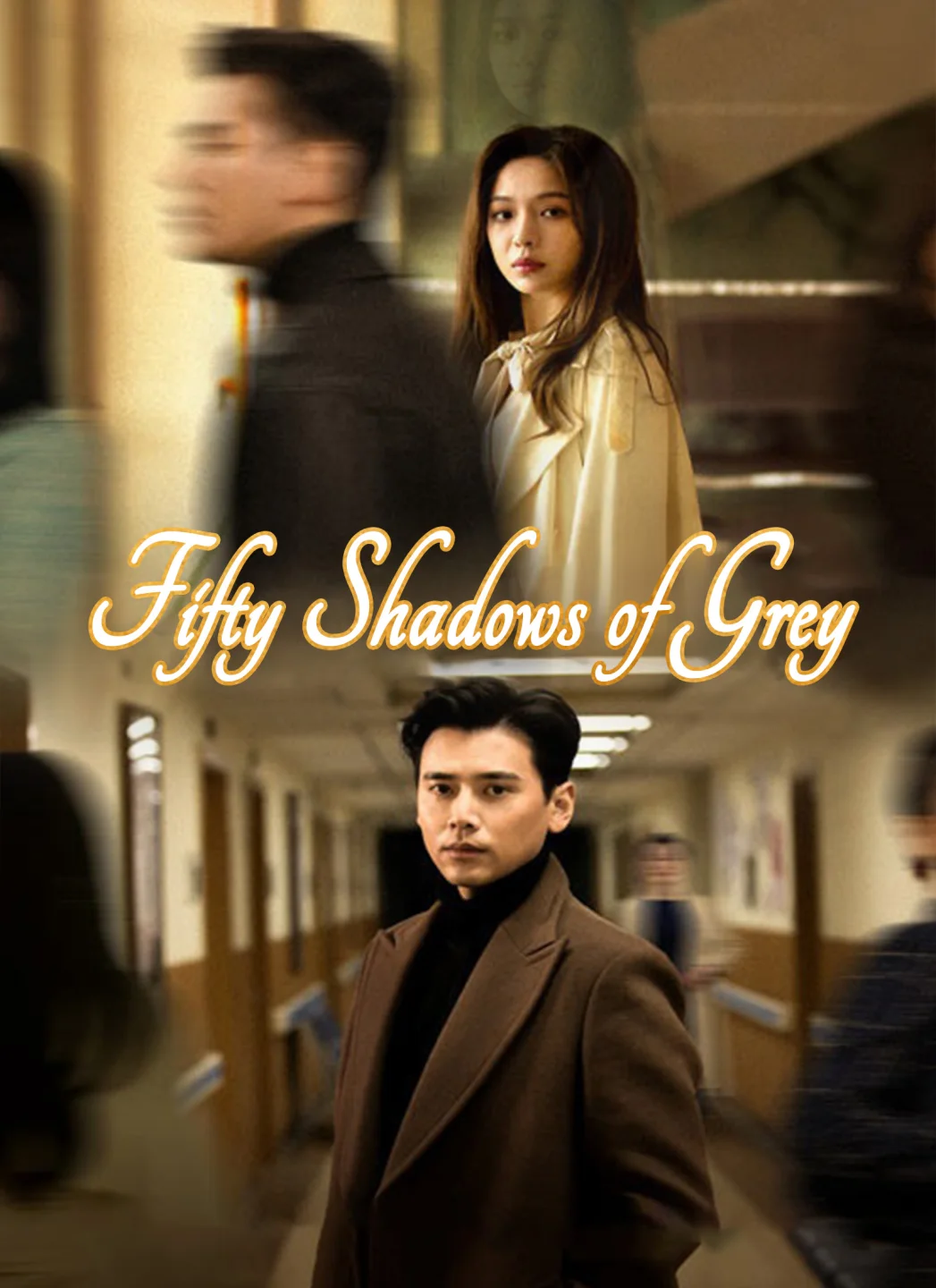Fifty Shadows of Grey poster