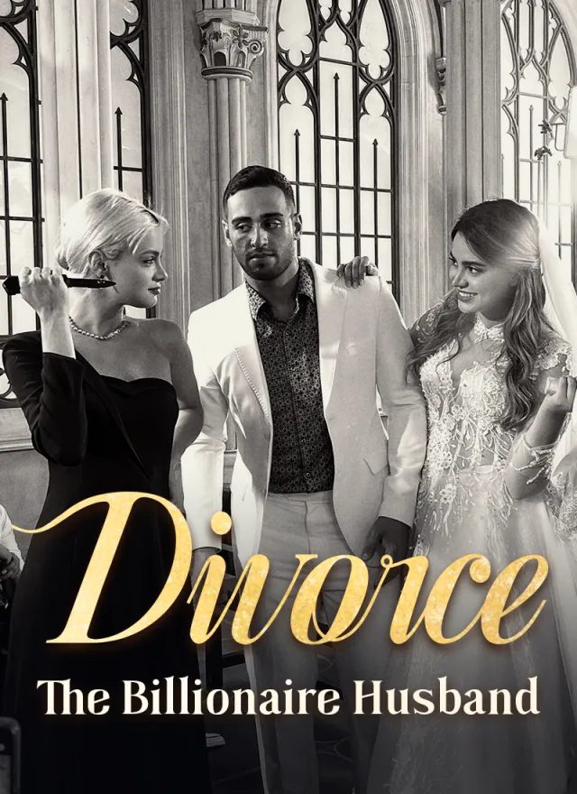 Divorce The Billionaire Husband poster