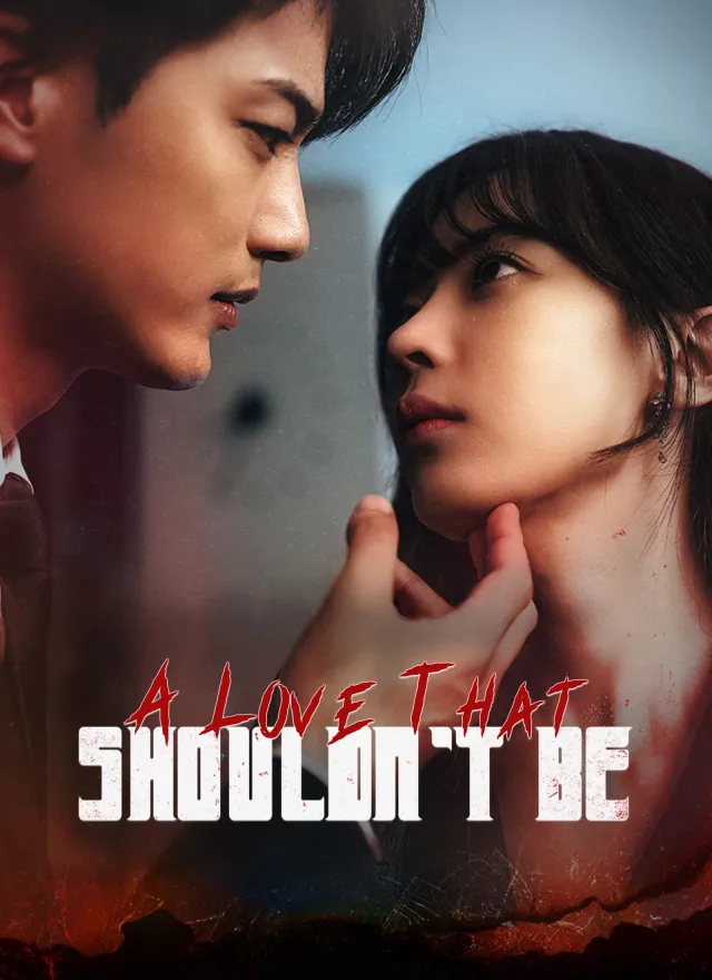 A Love That Shouldn't Be poster