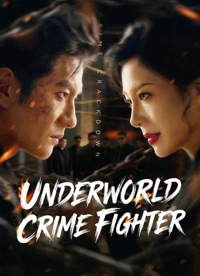 Underworld Crime Fighter poster