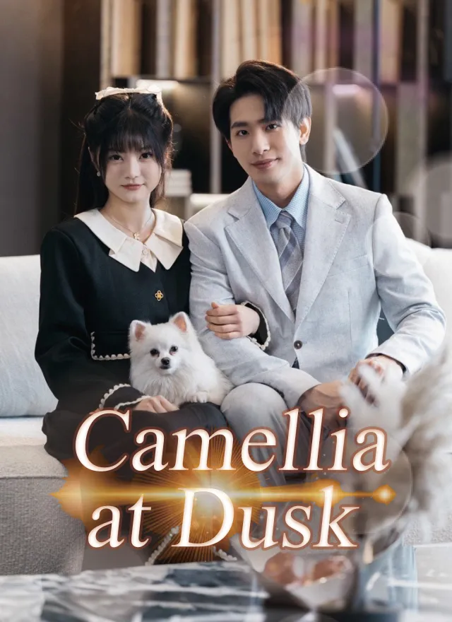 Camellia at Dusk poster