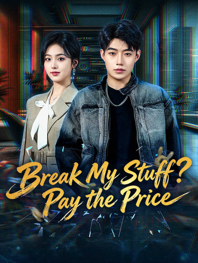 Break My Stuff? Pay the Price poster