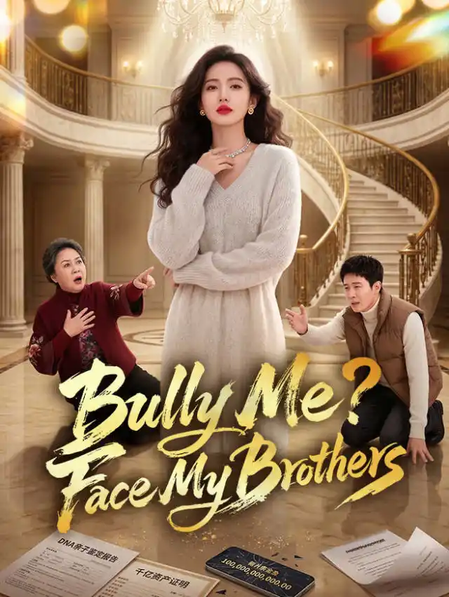 Bully Me? Face My Brothers poster