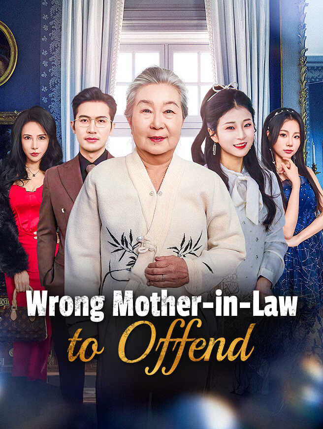 Wrong Mother-in-Law to Offend poster