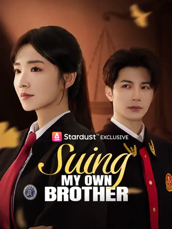 Suing My Own Brother poster