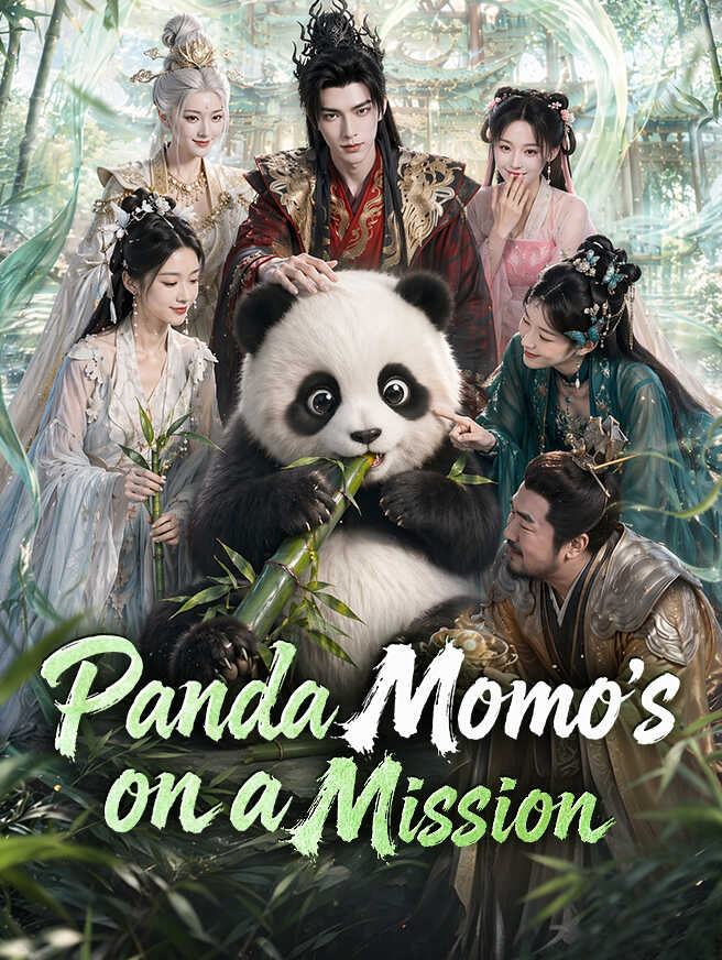 Panda Momo's on a Mission poster