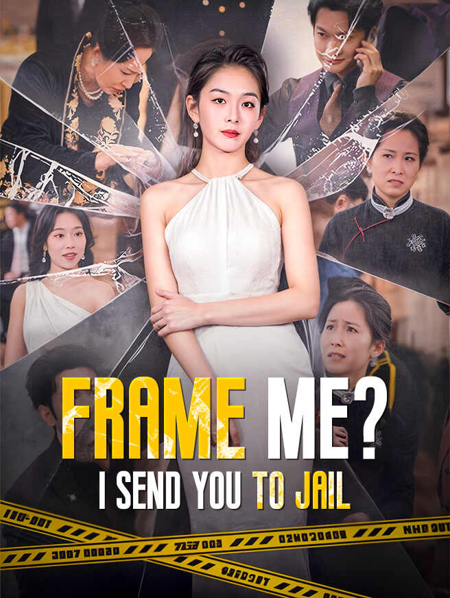 Frame Me? I Send You to Jail poster