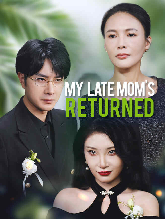 My Late Mom's Returned poster