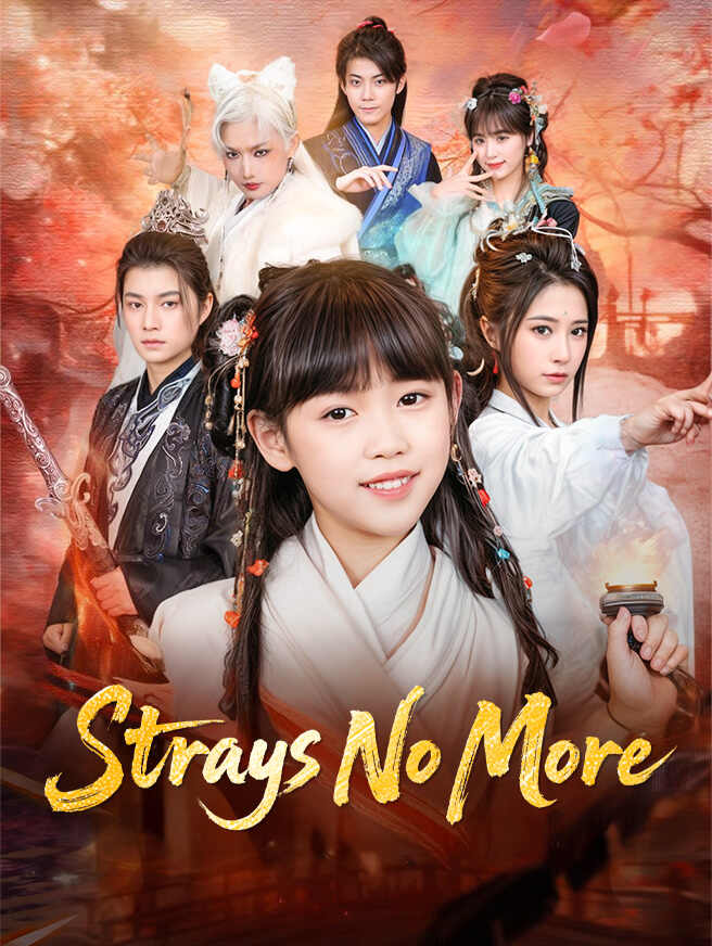 Strays No More poster