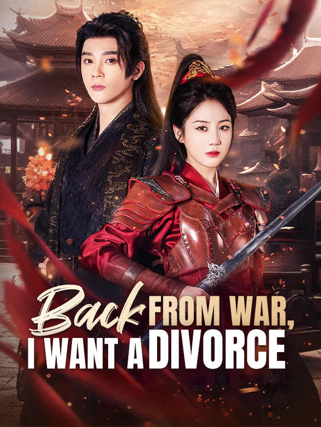 Back From War, I Want a Divorce poster