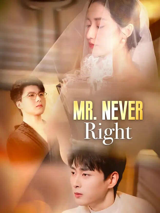 Mr. Never Right poster