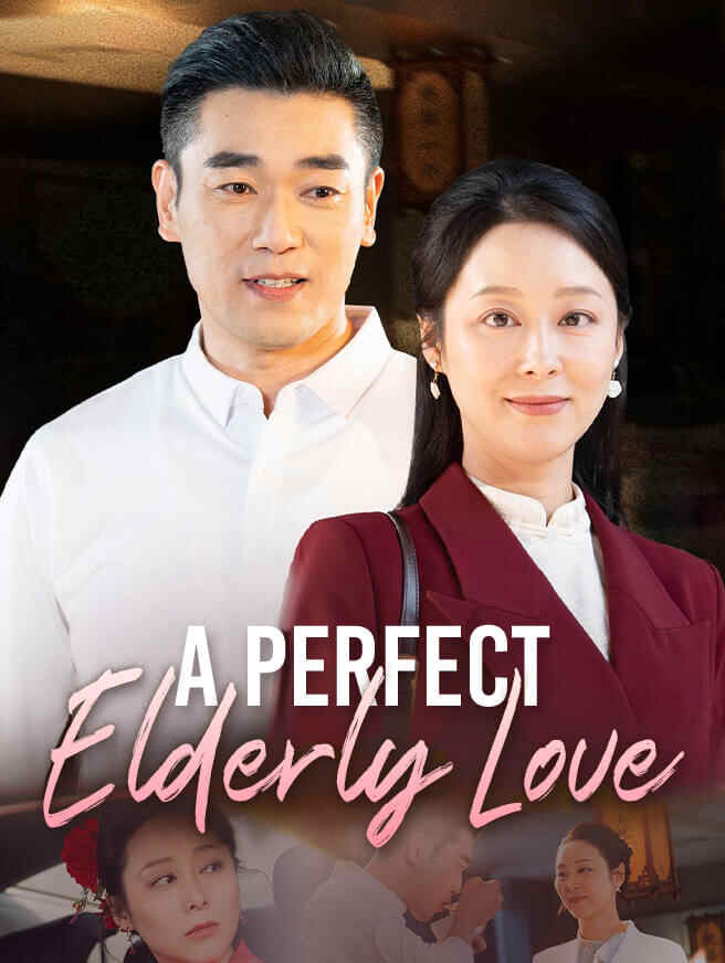 A Perfect Elderly Love poster