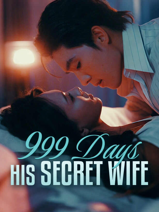 999 Days His Secret Wife poster