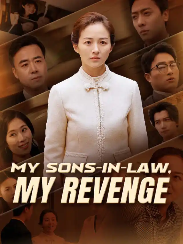 My Sons-in-Law, My Revenge poster