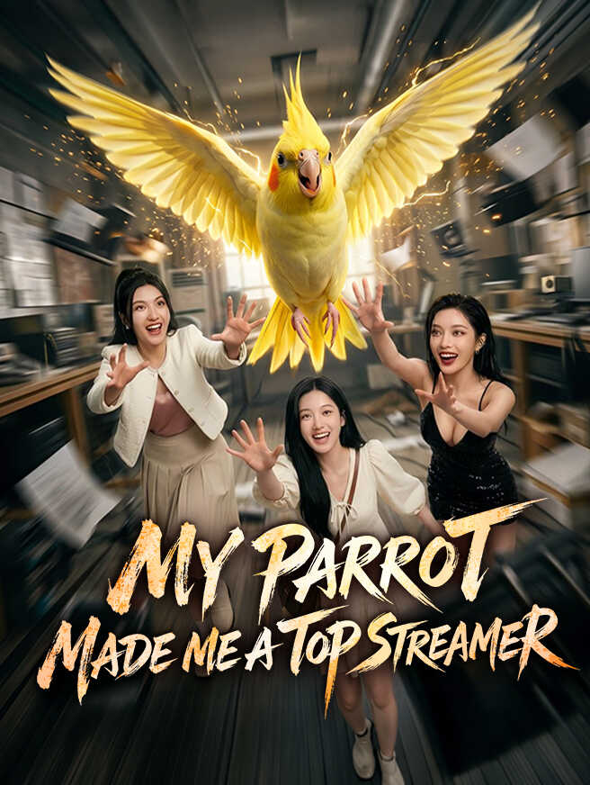 My Parrot Made Me a Top Streamer poster