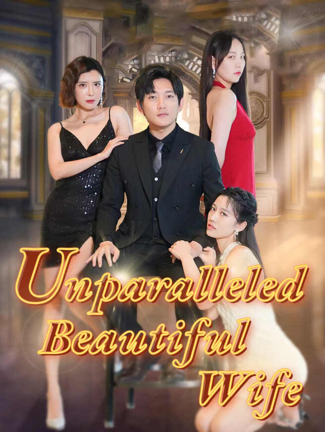 Unparalleled Beautiful Wife poster