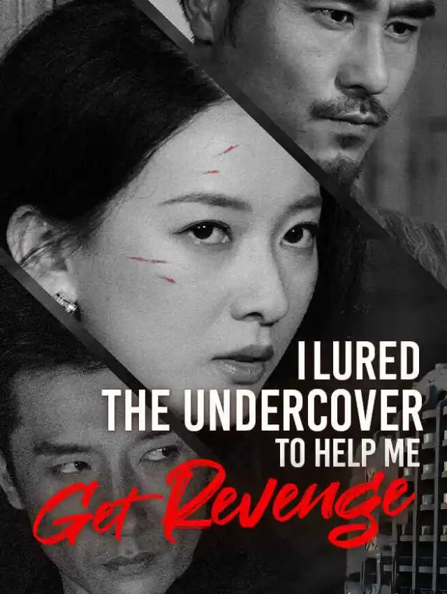 I Lured the Undercover to Help Me Get Revenge poster