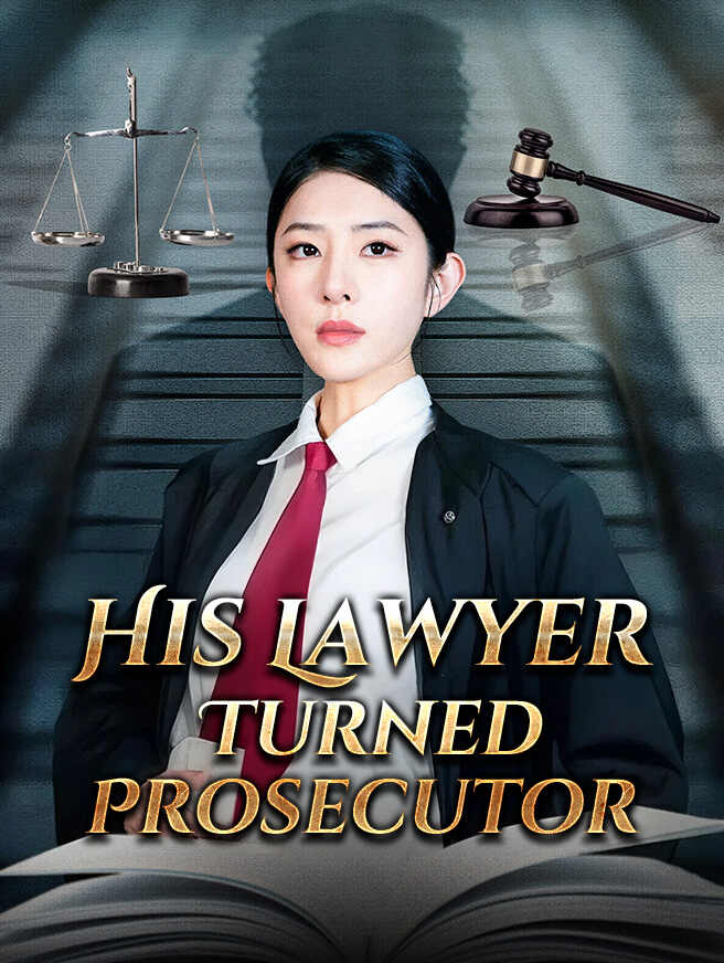 His Lawyer Turned Prosecutor poster