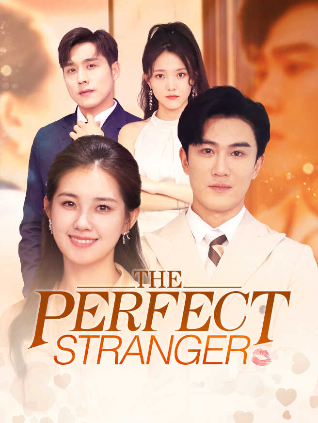 The Perfect Stranger poster