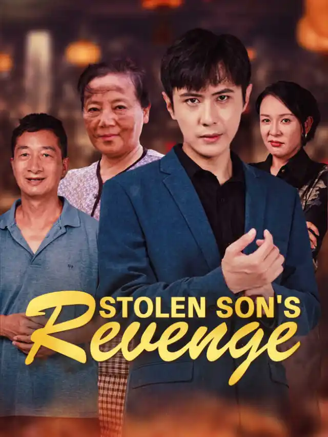 Stolen Son's Revenge poster
