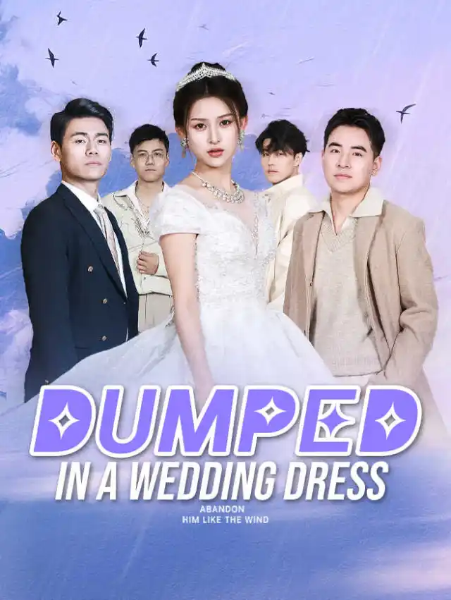 Dumped in a Wedding Dress poster