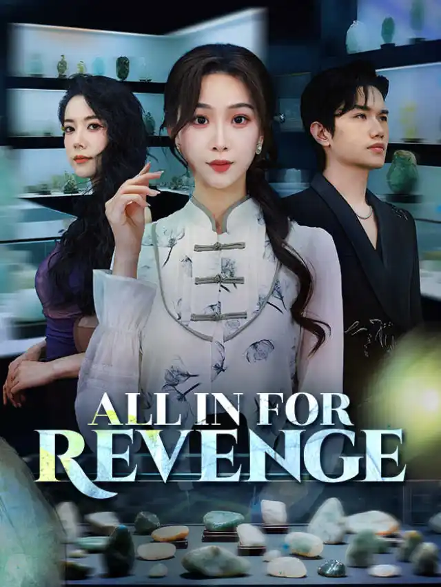 All In for Revenge poster