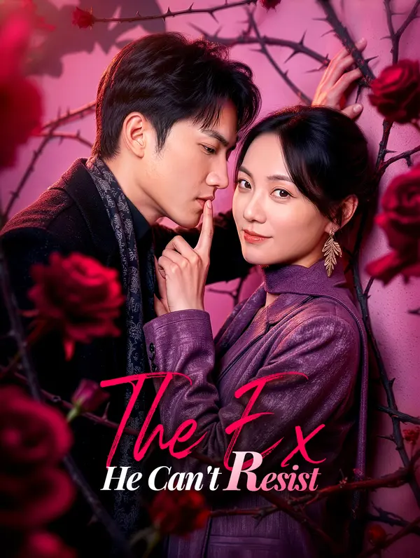 The Ex He Can't Resist poster
