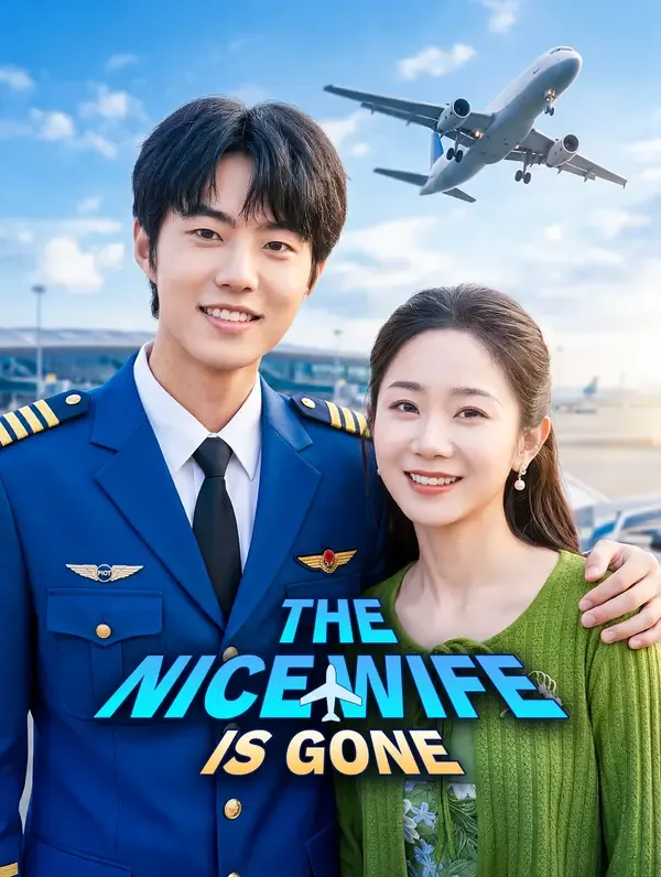 The Nice Wife Is Gone poster