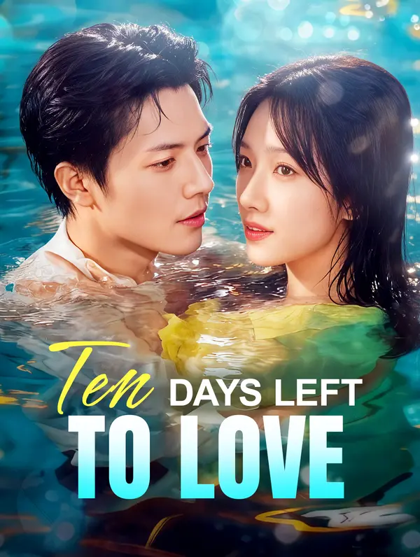 Ten Days Left to Love poster