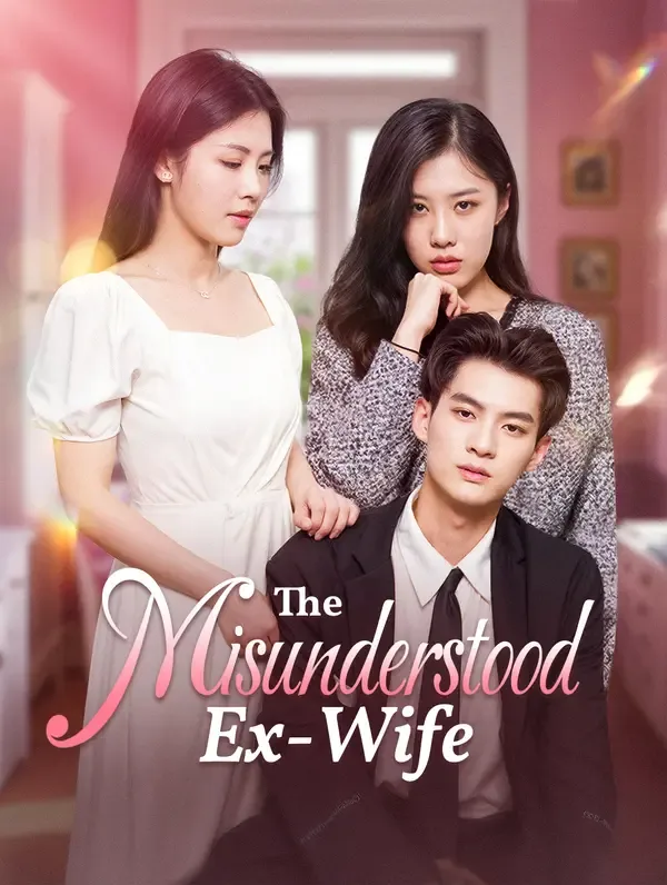 The Misunderstood Ex-Wife poster