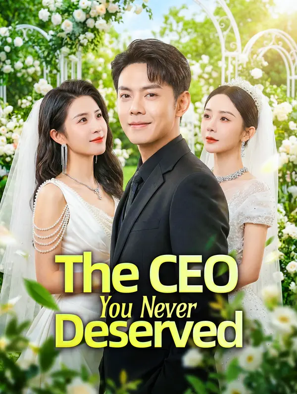 The CEO You Never Deserved poster